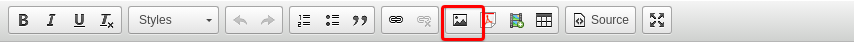 Screenshot of the editor toolbar with image button highlighted